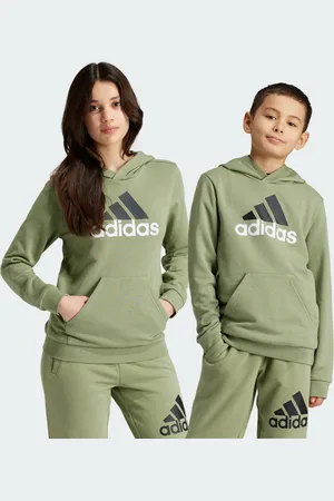 adidas Sudadera Con Gorro Essentials Logo Bicolor Grande Tent Verde - Niño