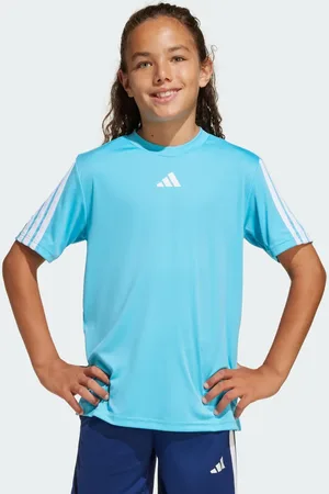adidas Playera Train Essentials Bright Cyan - Niño