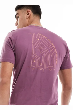 The North Face Brand Proud t-shirt with back graphic in mauve