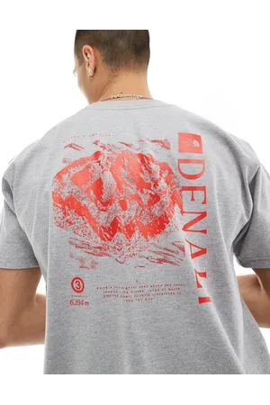 The North Face Heavyweight relaxed t-shirt with back graphic in heather