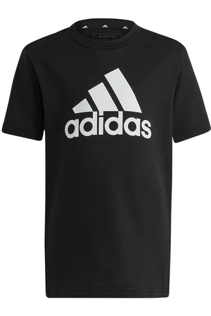 adidas Lk Bl Co Short Sleeve T-shirt 3-4 Years Niño