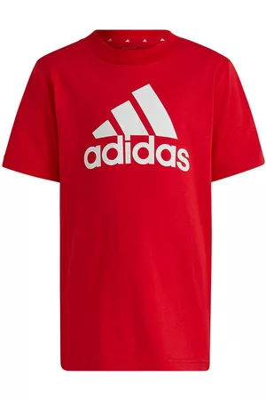 adidas Lk Bl Co Short Sleeve T-shirt 3-4 Years Niño