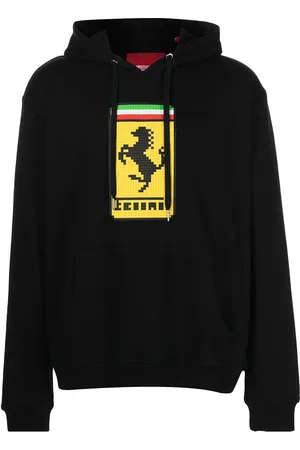 MOSTLY HEARD RARELY SEEN Hoodie Stallion