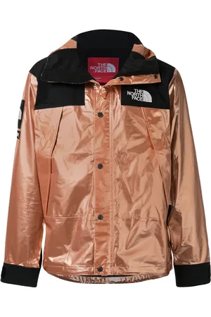 Supreme Tnf metallic mountain parka