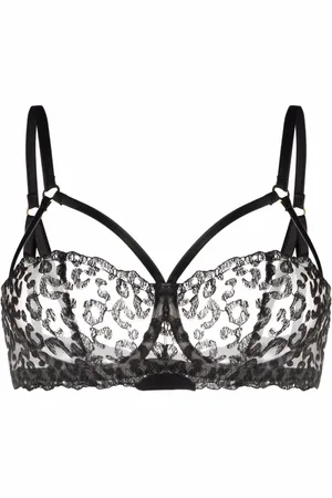Fleur of England Brasier Kittie