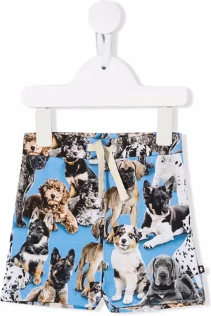 Molo Shorts con perros estampados