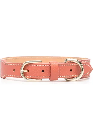 Sporty & Rich Collar para mascota