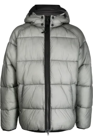 Barbour Chamarra Driesh