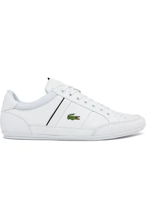 Lacoste Tenis Chaymon