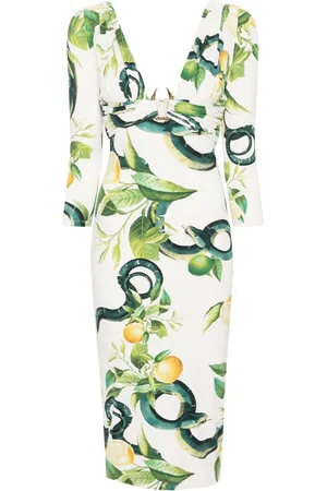 Roberto Cavalli Vestido midi con detalle Tigre Tooth