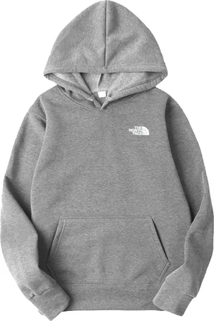 The North Face Hoodie Evolution Vintage Grey