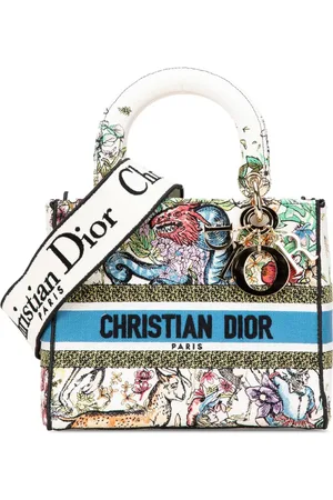 Dior 2022 Medium Canvas D Constellation Embroidered Lady D Lite satchel