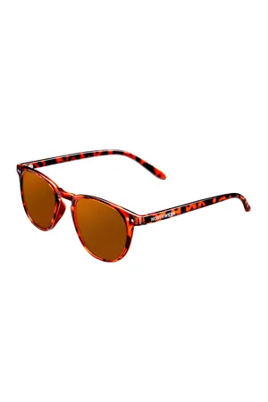 Northweek Wall Shine Tortoise - Ambar Polarized