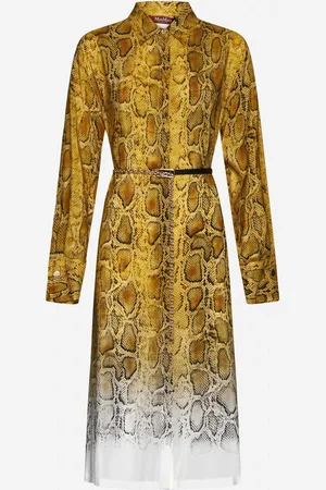 Max Mara Nereo Print Silk Shirt Dress
