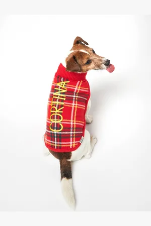 MC2 SAINT BARTH Dog Sweater With Tartan Print