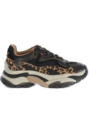 Ash Sneakers addict04 Made Of Leather