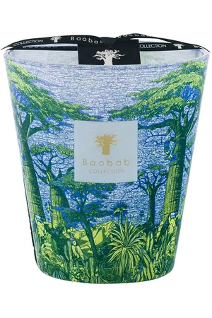 Baobab Vela Max 16 Sacred Trees Yarani