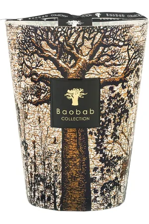 Baobab Vela Max 24 Sacred Trees Morondo
