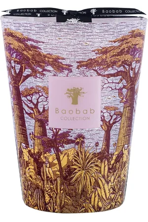 Baobab Vela Max 24 Sacred Trees Massasso