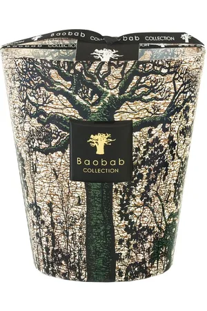 Baobab Vela Max 16 Sacred Trees Kani
