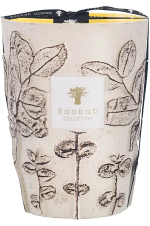 Baobab Vela Max 24 Folia Calanque