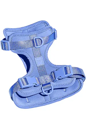 WILD ONE Arnés extra small harness en color azul talla all en - Blue. Talla all.