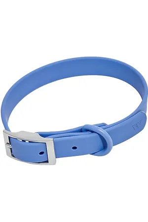 WILD ONE Correa de perro dog collar en color azul talla all en - Blue. Talla all.