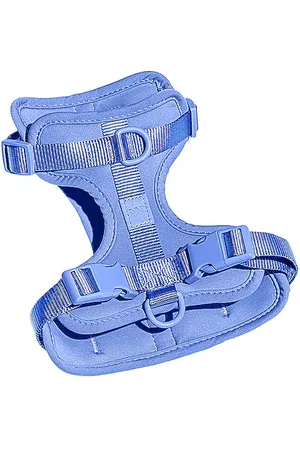 WILD ONE Arnés large harness en color azul talla all en - Blue. Talla all.