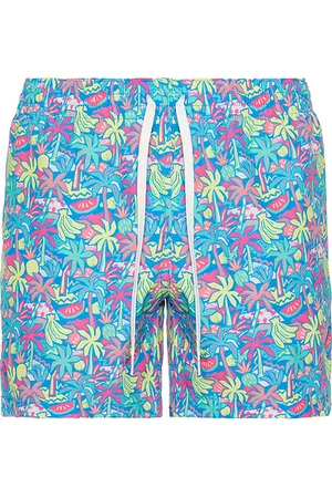 Chubbies The tropical bunches 5.5 swim short en color azul talla S en - Blue. Talla S (también en XL/1X).